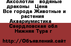 Аксолотли / водяные драконы › Цена ­ 500 - Все города Животные и растения » Аквариумистика   . Свердловская обл.,Нижняя Тура г.